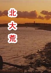 伊人久久激情